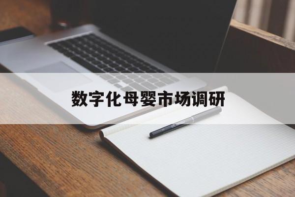巴彦淖尔市数字化母婴市场调研(数字化母婴市场调研报告)